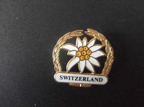 Zwitserland edelweiss